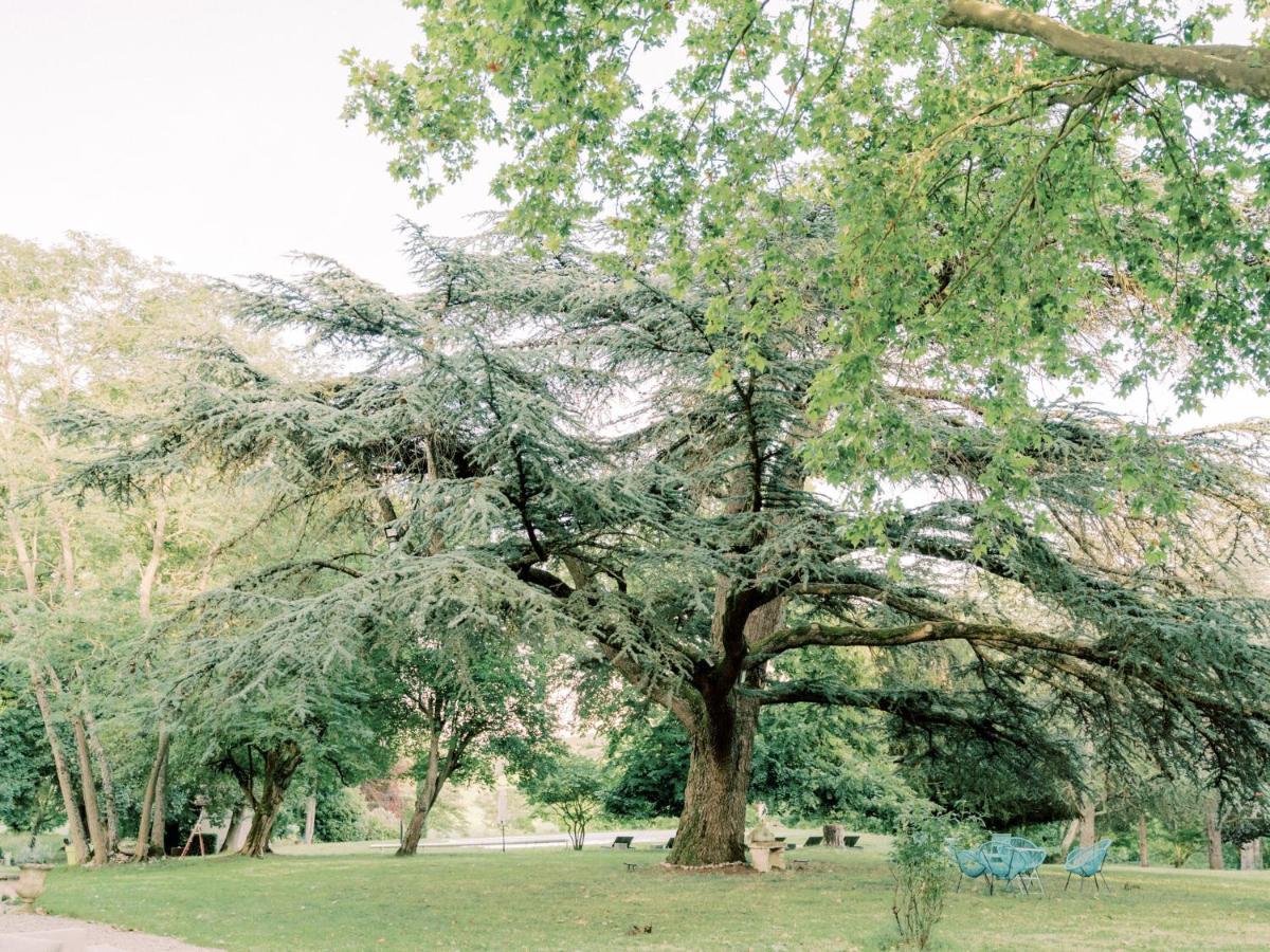 Chateau Saint-Joseph, Grand Gites 4 Etoiles En Pleine Nature Mazerolles-du-Razes Ngoại thất bức ảnh